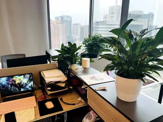 Pó de cinco especiarias de alta pureza com melhor qualidade